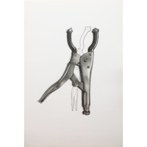 Study for Lobster Grips