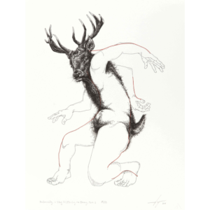 Anatomically, a Stag (or) Flouting the Binary, Part 2
